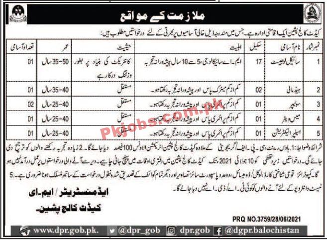 Jobs in Cadet College Pashin