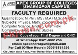 APEX Group of Colleges Announced Latest Advertisement PK Jobs 2021