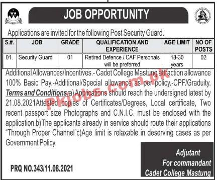 Jobs in Cadet College Mastung