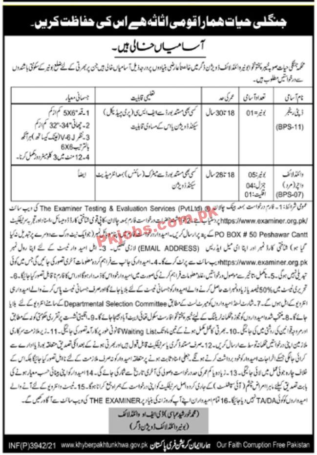 Jobs in Forest Department KPK