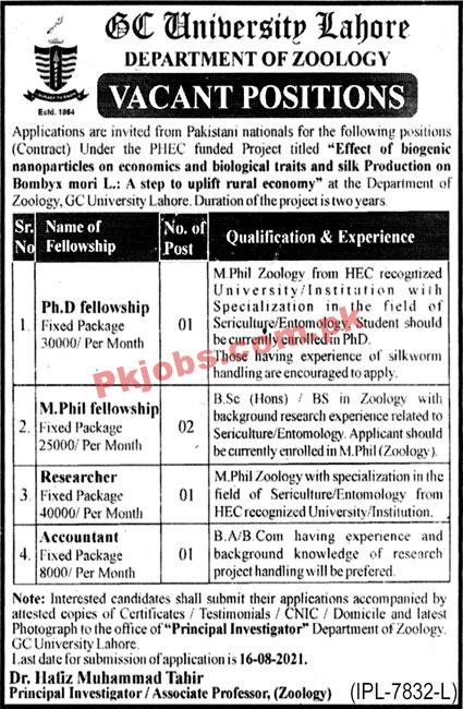 Jobs in GC University Lahore