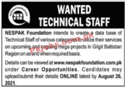 Jobs in NESPAK Foundation