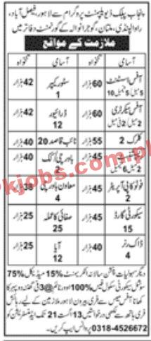 Jobs in Punjab Public Development Program Lahore