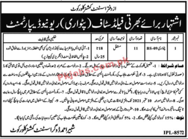 Jobs in Revenue Department