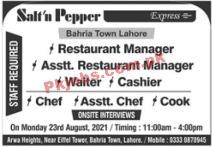 Jobs in Saltn Pepper