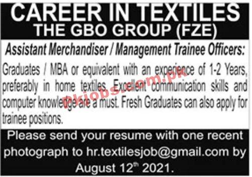 Jobs in THE GBO Group