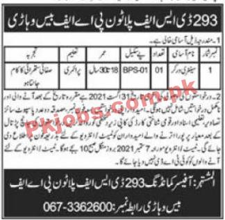 PAF PK Jobs 2021 | Jobs in PAF | Pakistan Airforce Announced Civilian Support Staff PK Jobs 2021