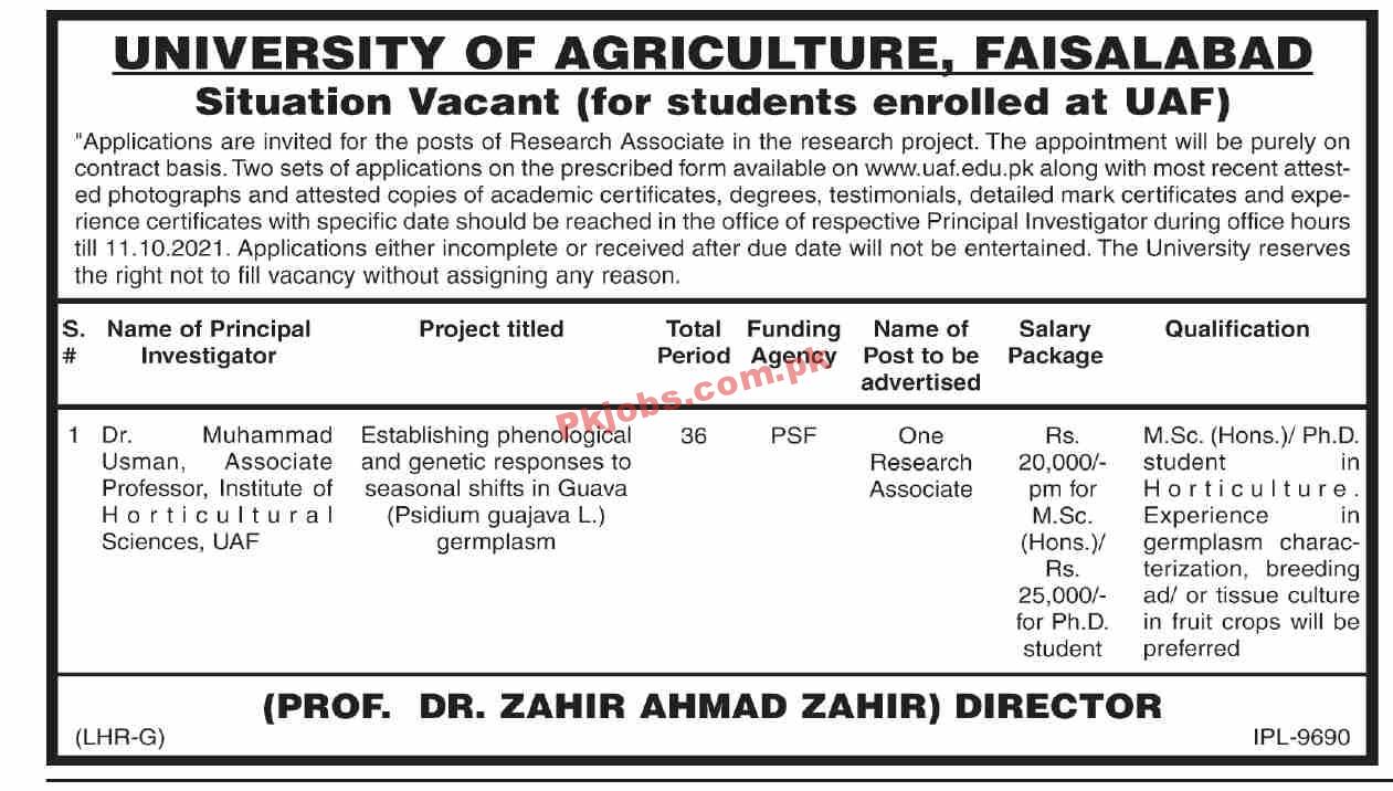 Jobs in University of Agriculture Faisalabad