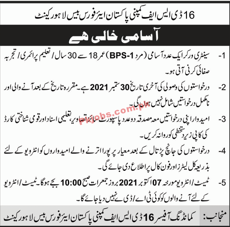 Jobs in 16 DSF Company Pakistan Air Force