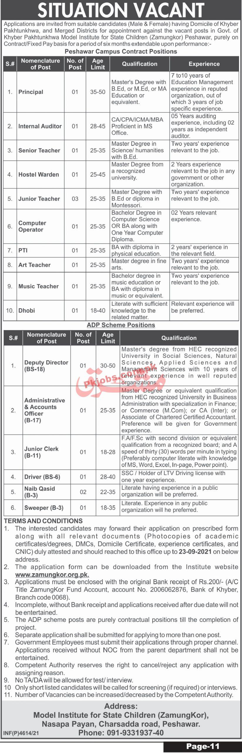 Jobs in Model Institute of State Children Peshawar