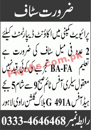 Jobs in Private Company Lahore