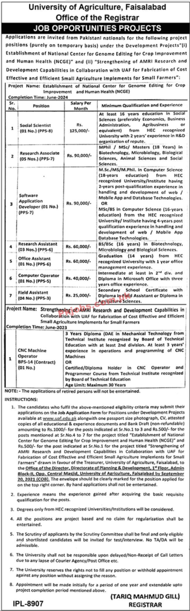 Jobs in University of Agriculture Faisalabad