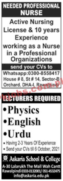 Jobs in Jang Jobs 06 September