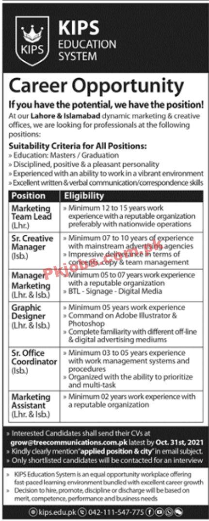 Jobs in KIPS Education System