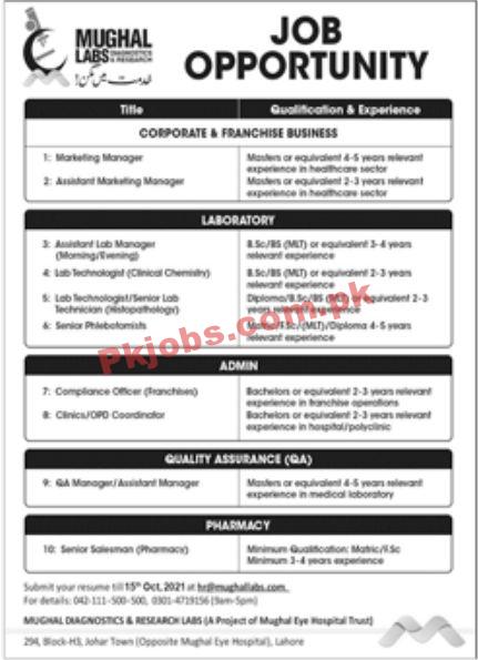 Jobs in Mughal Labs