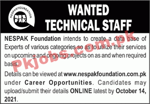 Jobs in NESPAK Foundation