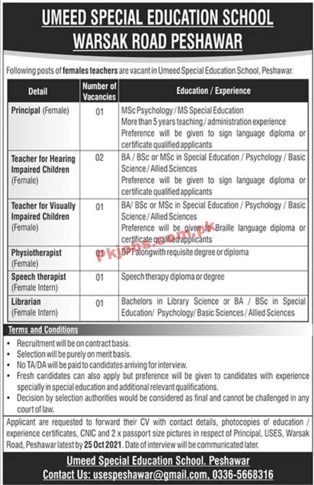 Jobs in Umeed Special Education School