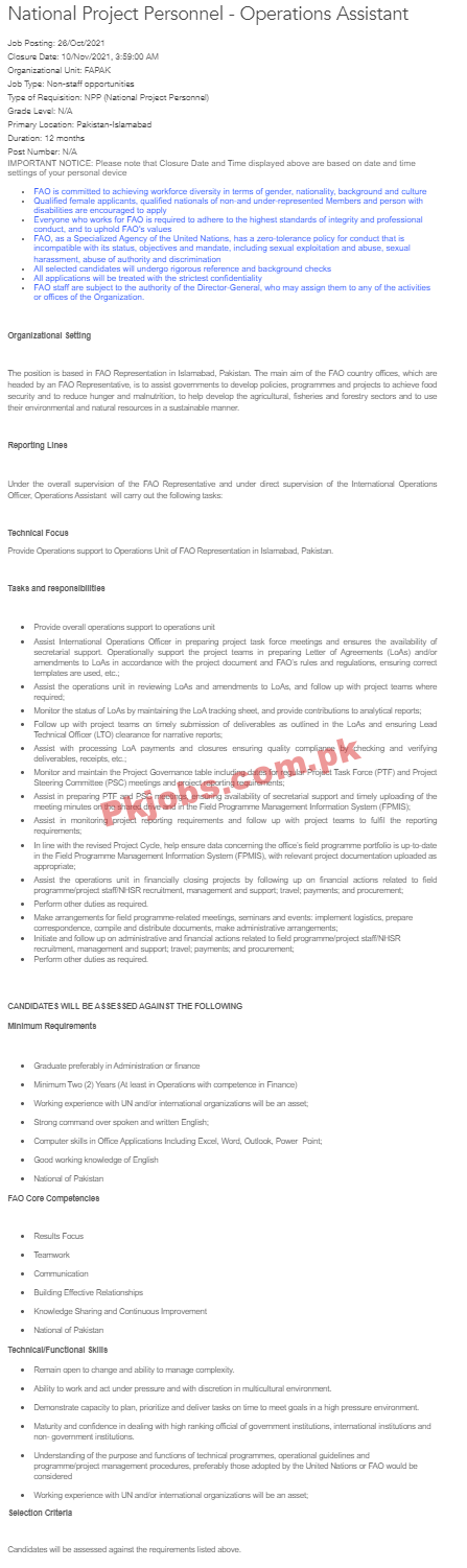 UN PK Jobs 2021 | United Nations Pakistan Regional Office Announced Management PK Jobs 2021