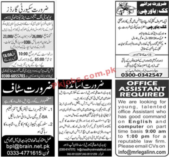 Jobs in Jang Jobs 01 November