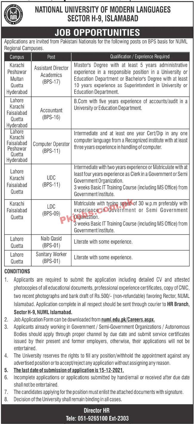 Jobs in National University of Modern Languages