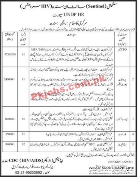 UNDP PK Jobs 2021 | United Nations Development Programme UNDP Announced Management PK Jobs 2021