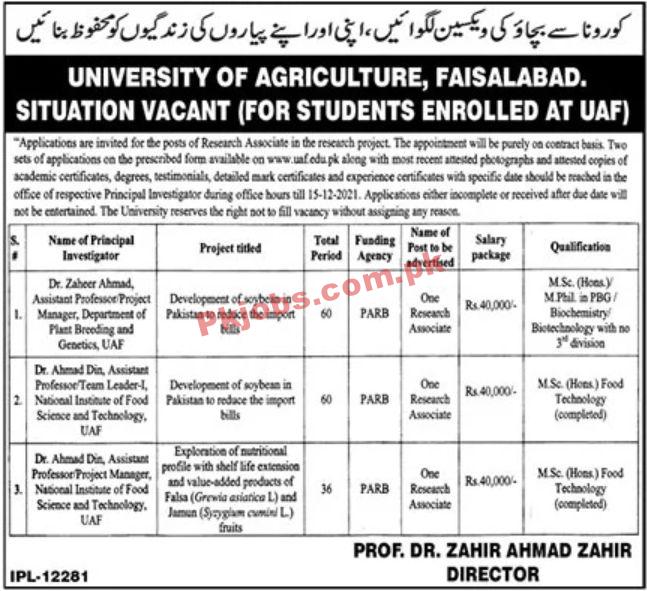 Jobs in University of Agriculture Faisalabad