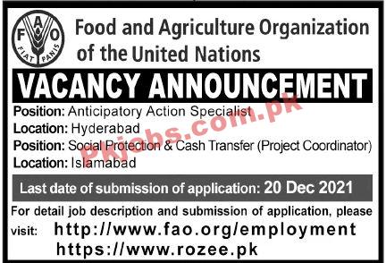 Jobs in Food and Agriculture Organization of the United Nations