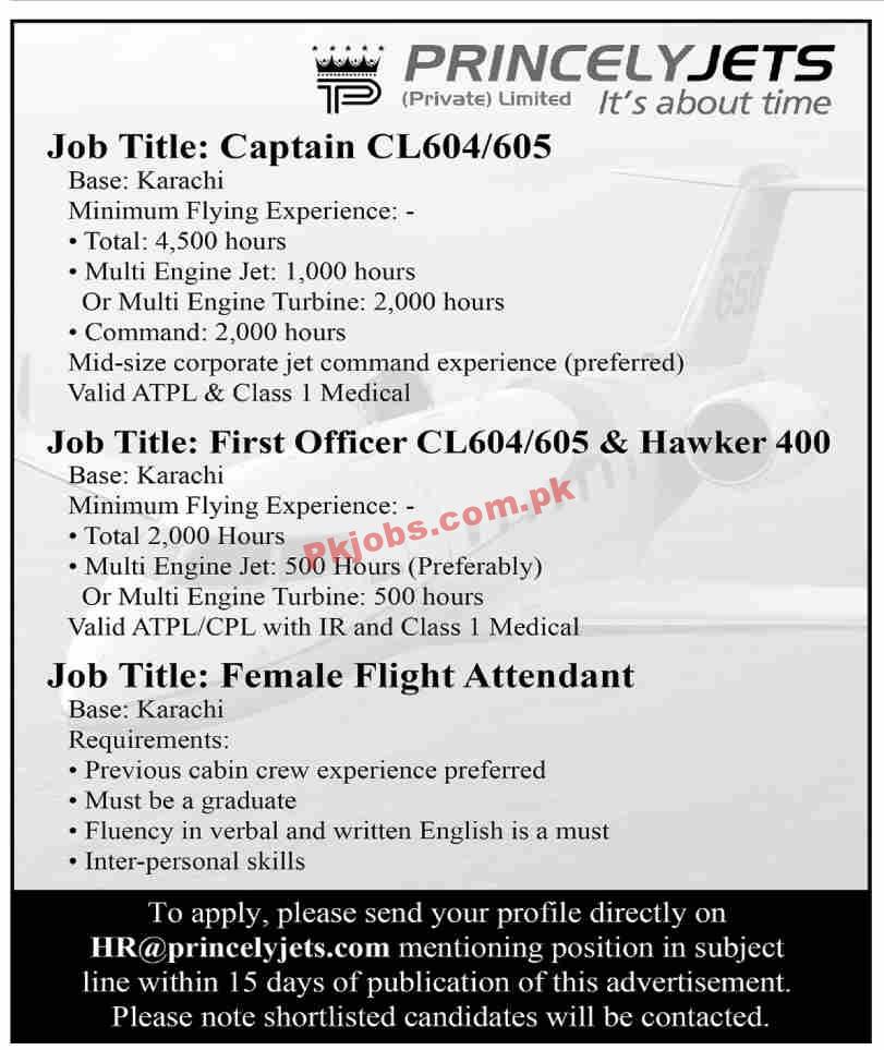 Jobs in Princely Jets Private Limited