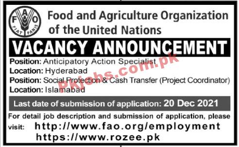 UN PK Jobs 2021 | United Nations Food & Agriculture Organization Announced Management PK Jobs 2021