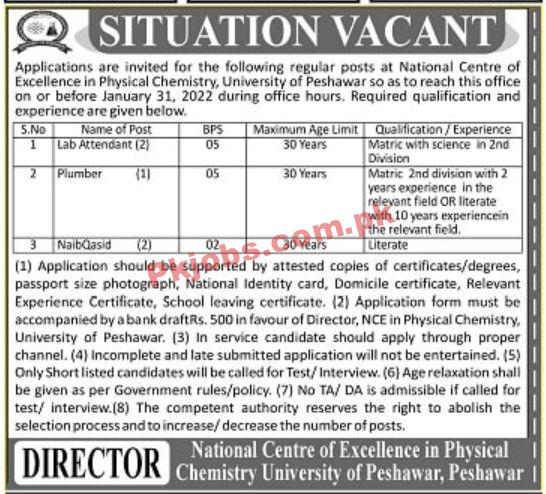 Jobs in University of Peshawar UP