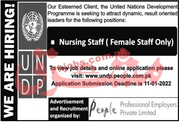 UNDP Jobs 2022 | United Nations Development Programme UNDP Announced Latest Advertisement PK Jobs 2021