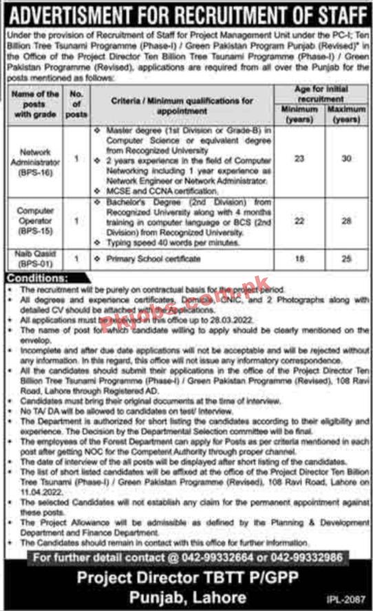 Green Pakistan Jobs 2022 | Ten Billion Trees Tsunami Project TBTTP Head Office Announced Latest Advertisement Jobs 2022
