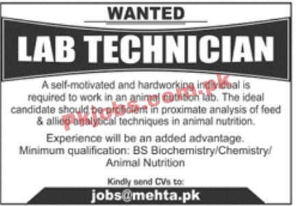 Jobs in MEHTA Pvt Ltd