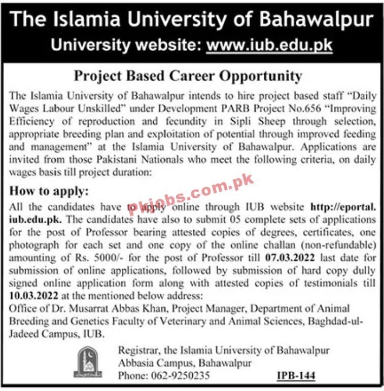 Jobs in The Islamia University of Bahawalpur