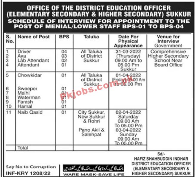 Jobs in Elementary Secondary & Higher Secondary Sukkur