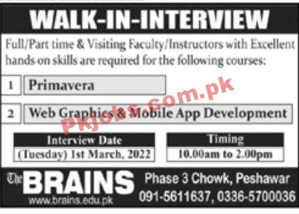 Jobs in The Brains Institute