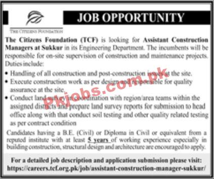 Jobs in The Citizens Foundation TCF