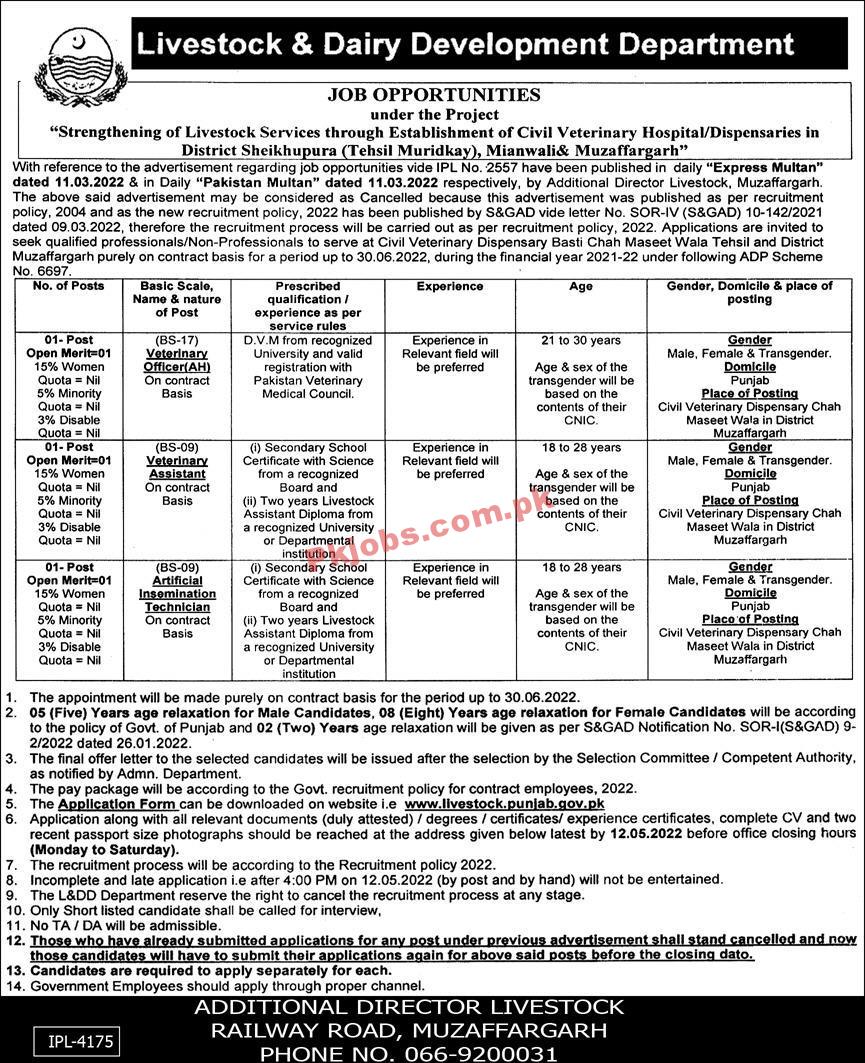 Livestock Jobs 2022 | Livestock & Dairy Development Department Head Office Latest Advertisement Jobs 2022