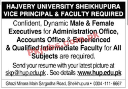 Jobs in Hajvery University Sheikhupura