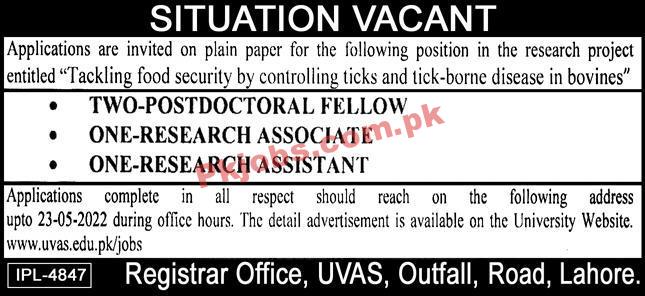 Jobs in UVAS