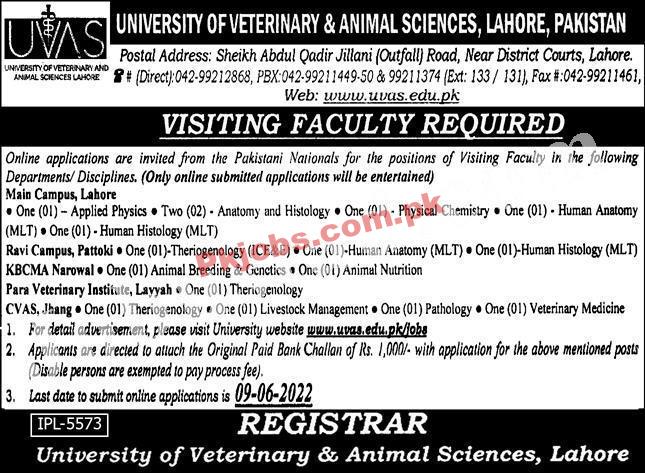 Lahore University of Veterinary and Animal Sciences UVAS New Government Today Jobs 2022 Advertisement – Pk Jobs