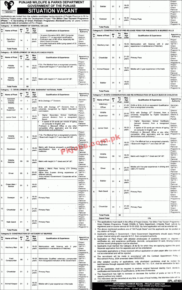 Ten Billion Tree Tsunami Programme Headquarters Announced Latest Recruitments Jobs 2022