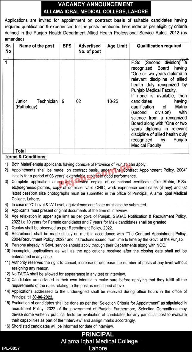 Jobs in Allama Iqbal Medical College Lahore