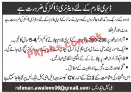 Jobs in Dairy Farm