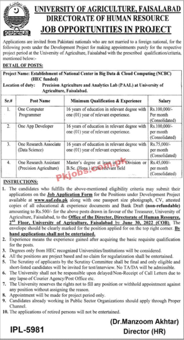 Jobs in University of Agriculture Faisalabad