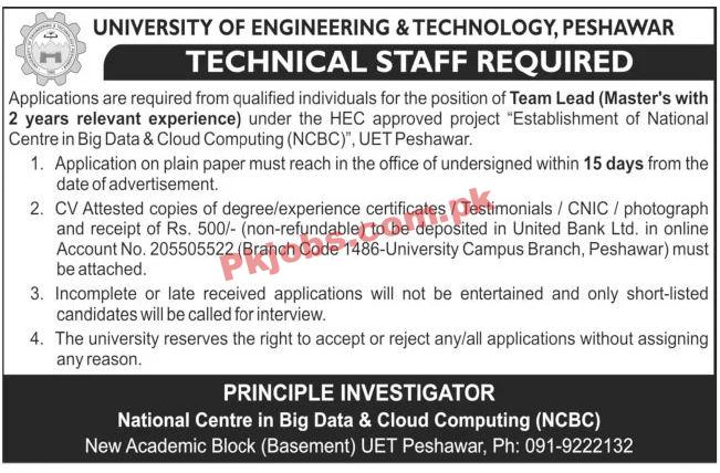 Jobs in University of Engineering & Technology Peshawar