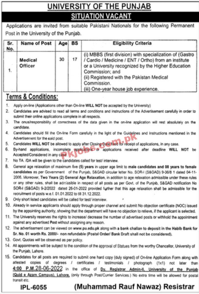 Jobs in University of the Punjab