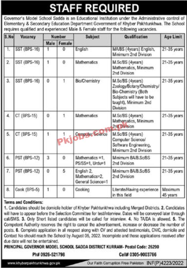 Jobs in Governor’s Model School Sadda