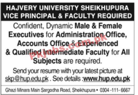 Jobs in Hajvery University Sheikhupura