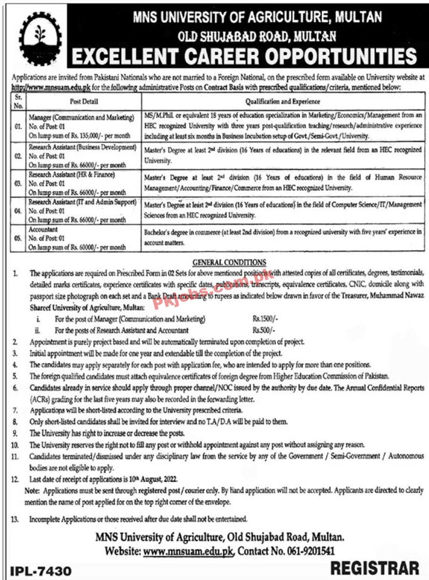Jobs in MNS University of Agriculture Multan